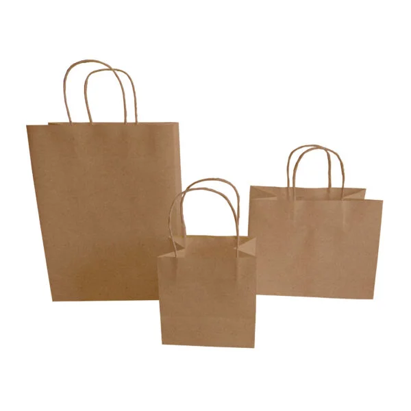 paper bag kraft 2